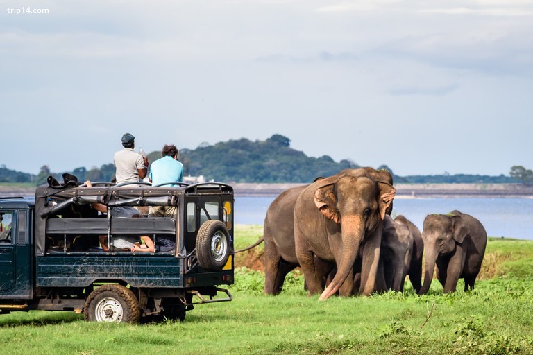Vườn quốc gia Yala, Sri Lanka - Trip14.com