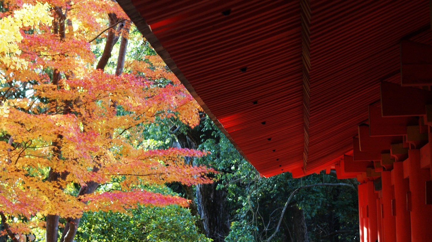 Những lễ hội diễn ra vào mùa thu ở Nhật Bản