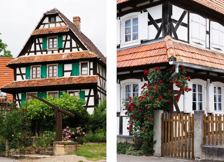 Trái: Hunspach đầy những ngôi nhà gỗ truyền thống Bên phải: Hoa hồng đỏ tô điểm thêm cho khung cảnh đẹp như tranh vẽ | © Colouria Media / Alamy Kho ảnh