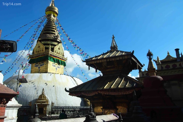 Đền Swayambhunath - Trip14.com