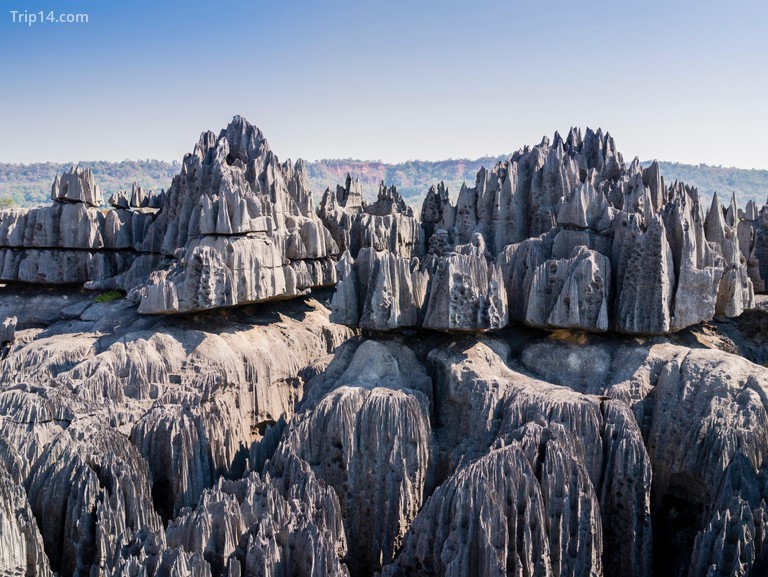 Các thành tạo đá vôi karst trong Công viên Quốc gia Tsingy de Bemaraha tuyệt đẹp 