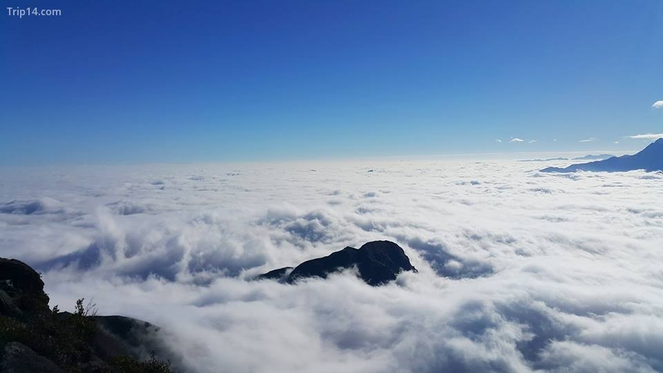mây trên đỉnh núi Muối