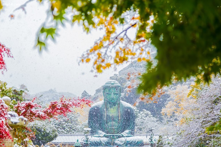 Đại Phật của Kamakura phủ tuyết trong mùa đông - Trip14.com