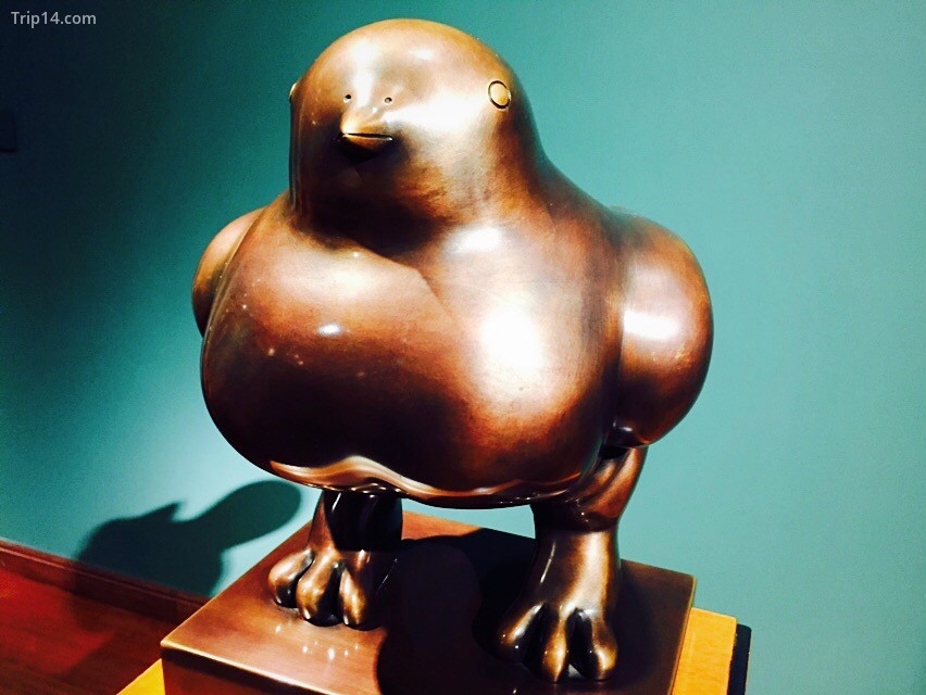 Chim hòa bình trong Bảo tàng Botero ở Bogota