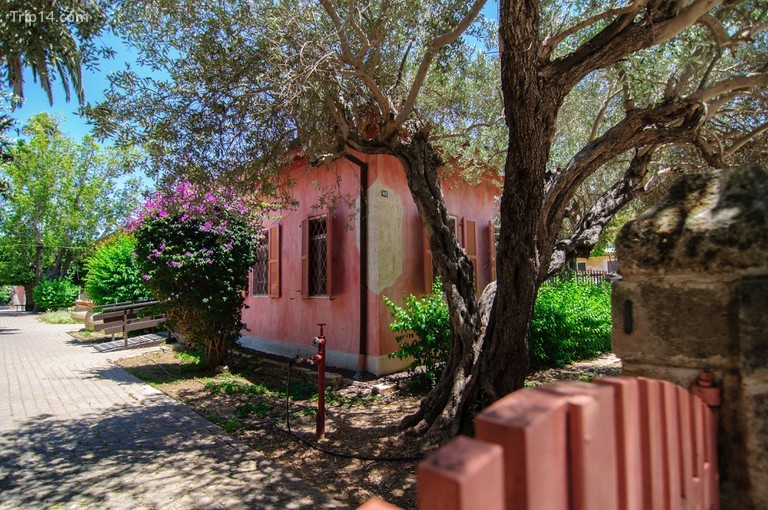 Một ngôi nhà cổ, màu hồng, lịch sử ở Zichron Yaakov, Israel. - Trip14.com