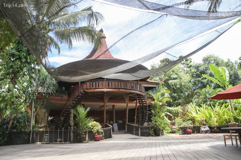 Phòng tập yoga chính tại The Yoga Barn, ở Ubud, Bali. - Trip14.com