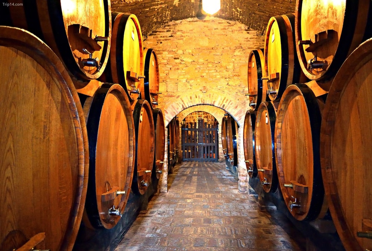 Nhà máy rượu vang ở Tuscany, Ý