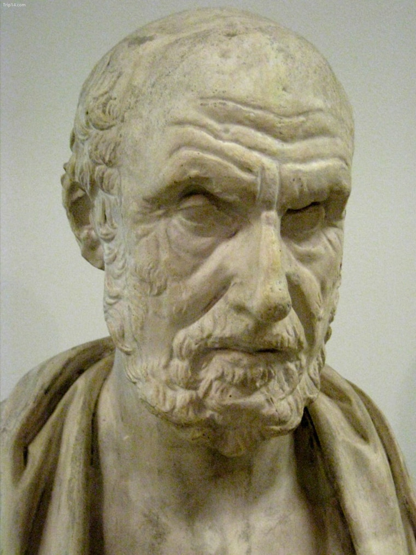  Bức tượng bán thân của Hippocrates, cha đẻ của ngành y học   |   