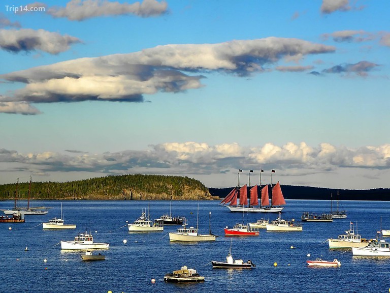 Quang cảnh Công viên Quốc gia Acadia, Maine