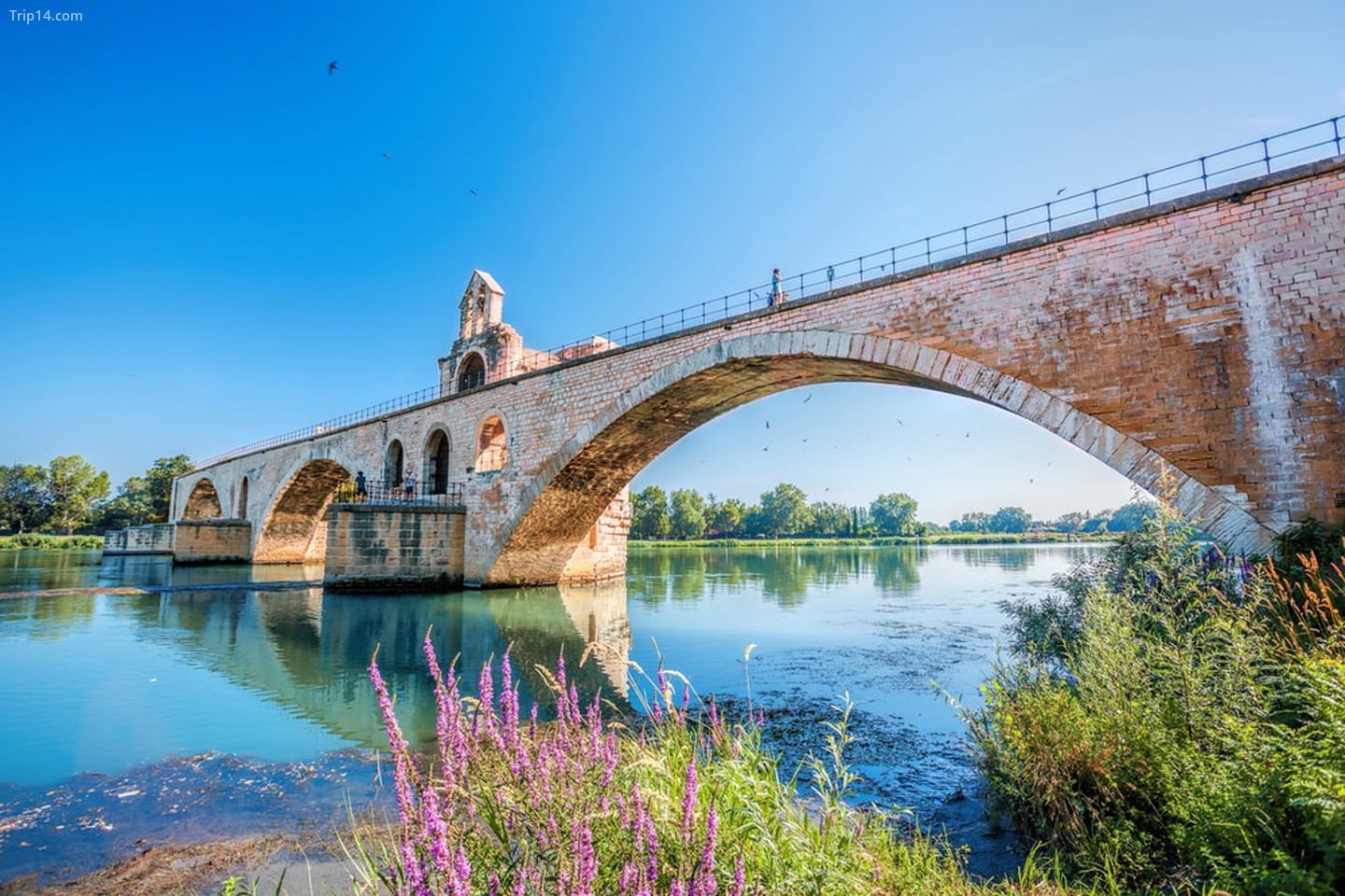 Cây cầu nổi tiếng ở Avignon