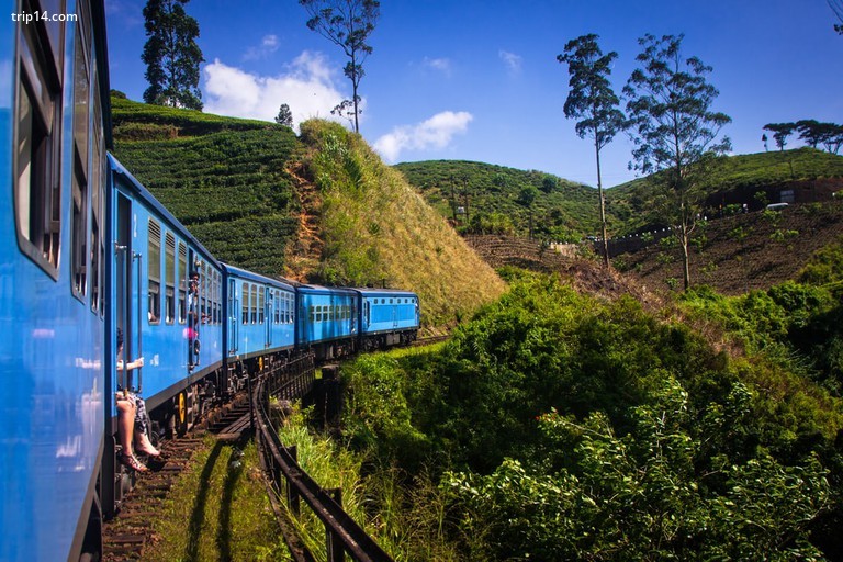 Tàu từ Nuwara Eliya đến Kandy giữa các đồn điền trà ở vùng cao nguyên Sri Lanka - Trip14.com