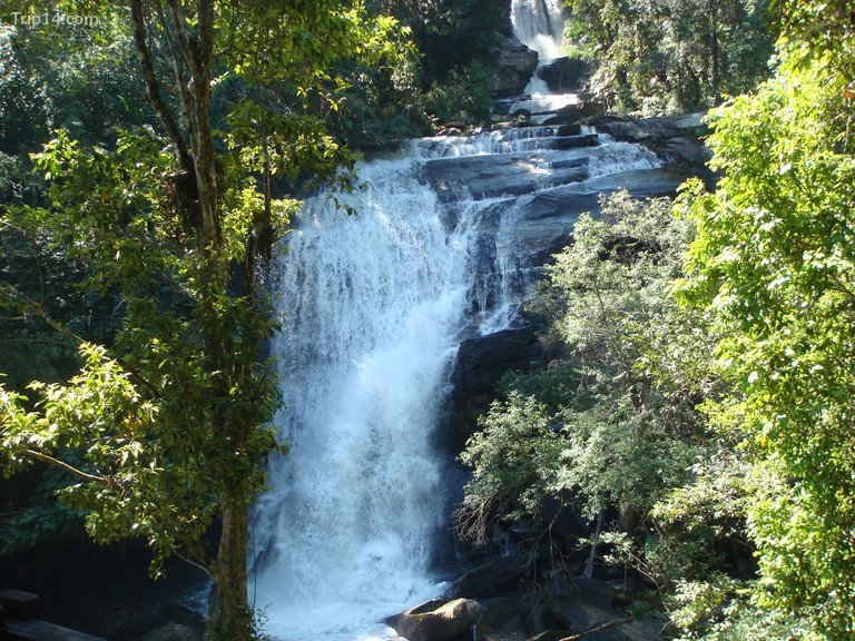 Một thác nước tuyệt đẹp chảy qua khu rừng xanh tốt ở Công viên Doi Inthanon.