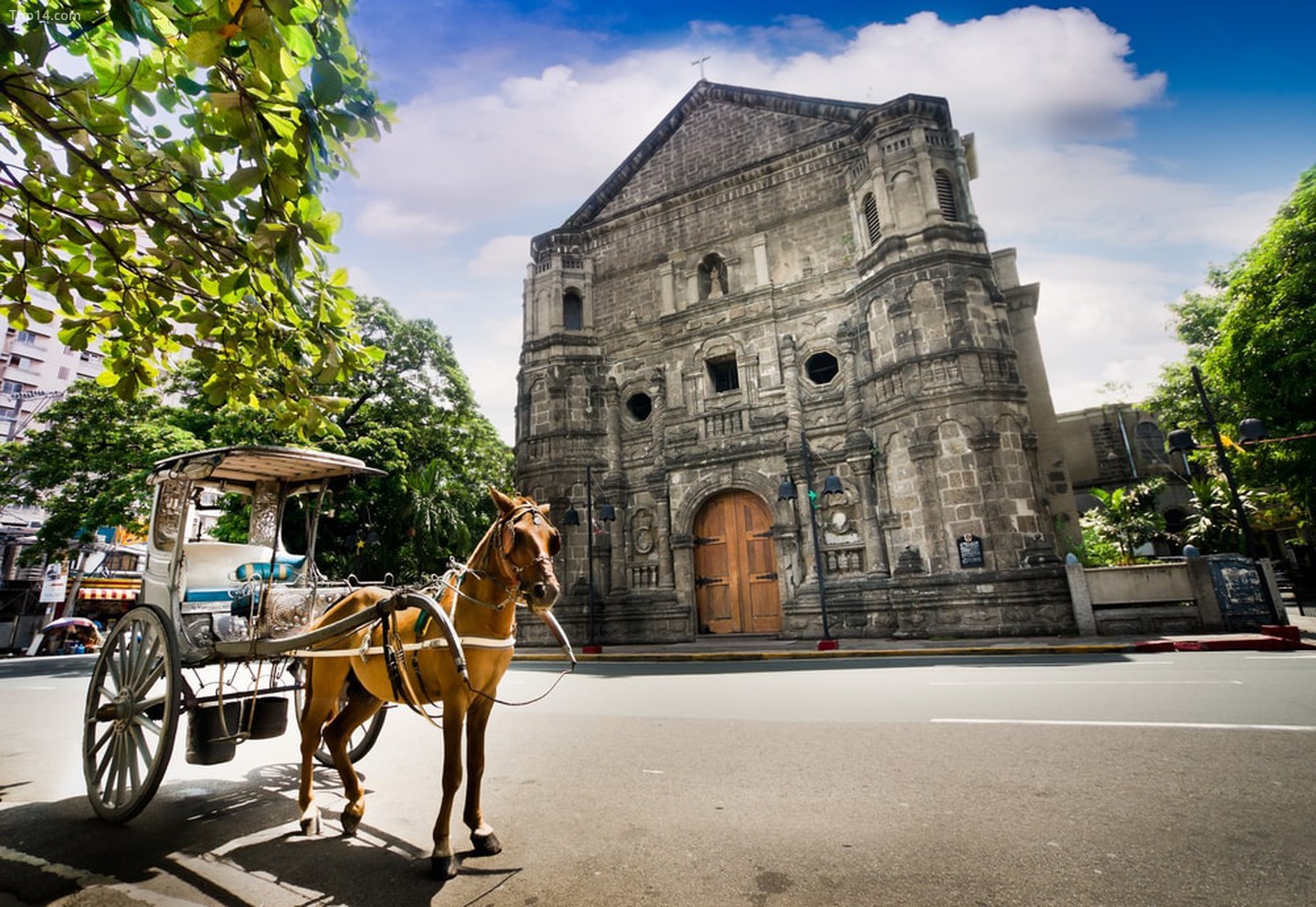 Ngựa kéo xe trước Nhà thờ Malate ở Manila, Philippines