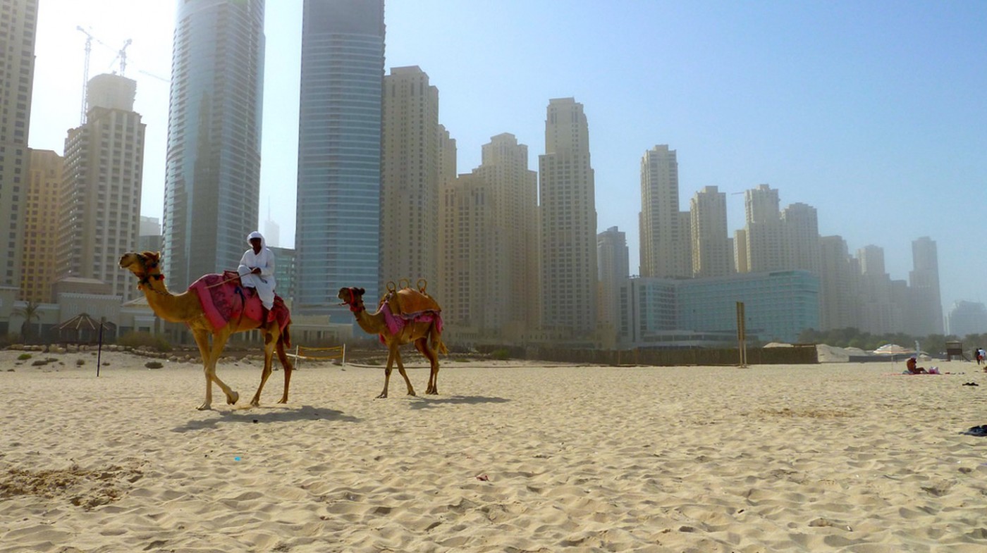 Cưỡi lạc đà trên bãi biển JBR | Mike Hauser / Flickr http://bit.ly/2km4vH0