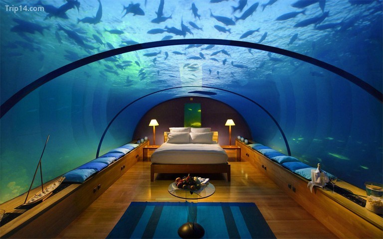Phòng dưới nước tại Atlantis 