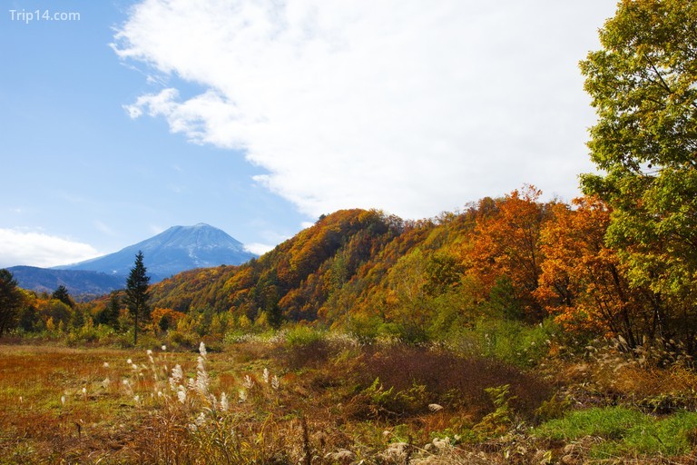 Mt.Mitake, Gifu Prefecture, Honshu, Japan