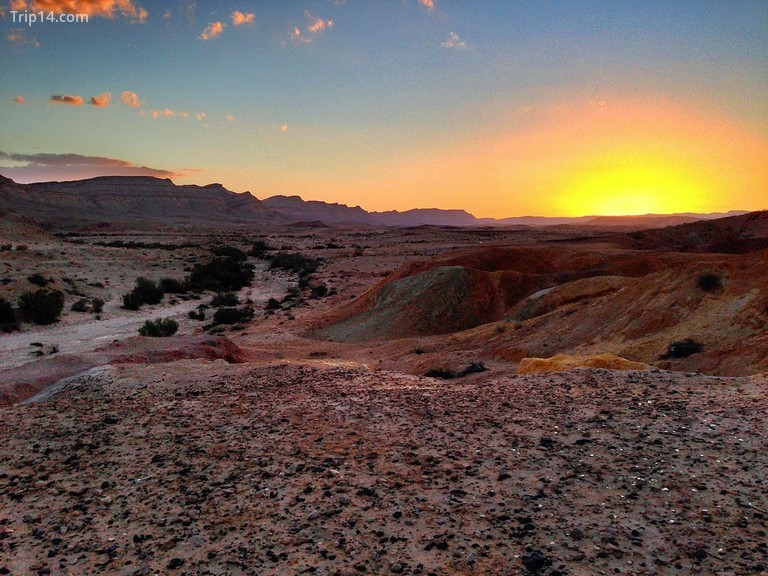 Mặt trời lặn trên sa mạc NegevMatthew Parker