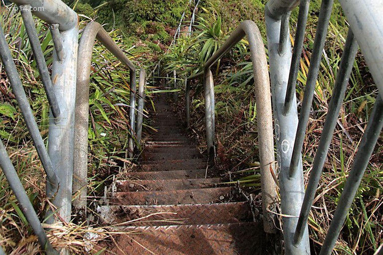 Nhìn xuống cầu thang haiku tại đường cao tốc H3 và Kaneohe | © Brock Roseberry / Flickr - Trip14.com