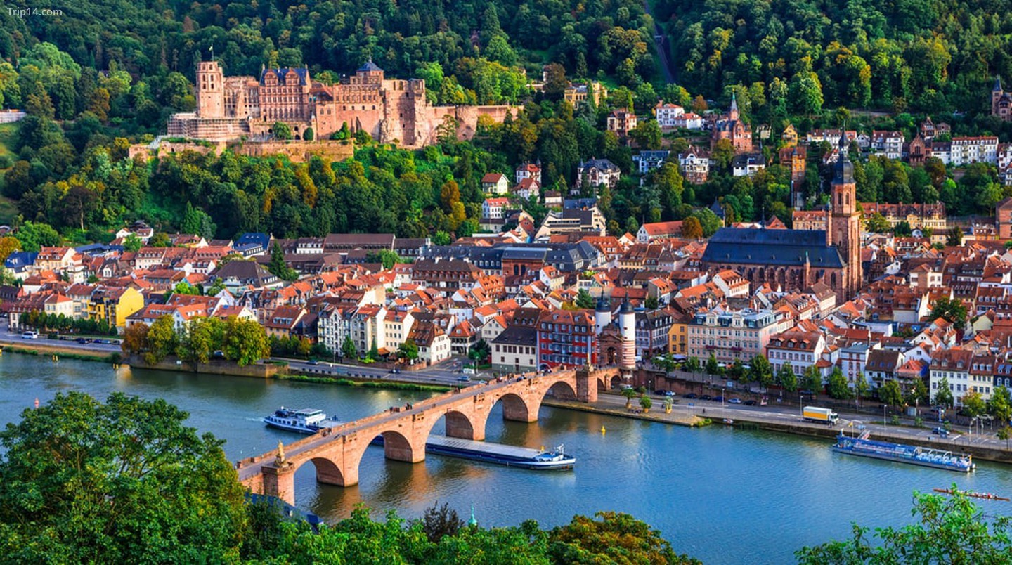 Heidelberg thời trung cổ, Đức