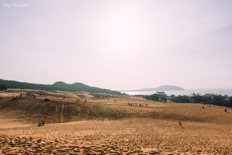 Cồn cát Mũi Né, Bình Thuận