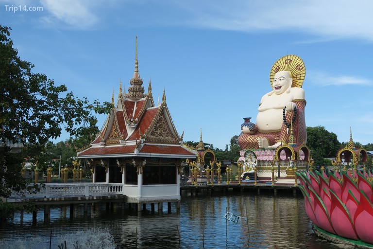 Ngày 2: Khám phá đảo Koh Samui - Trip14.com