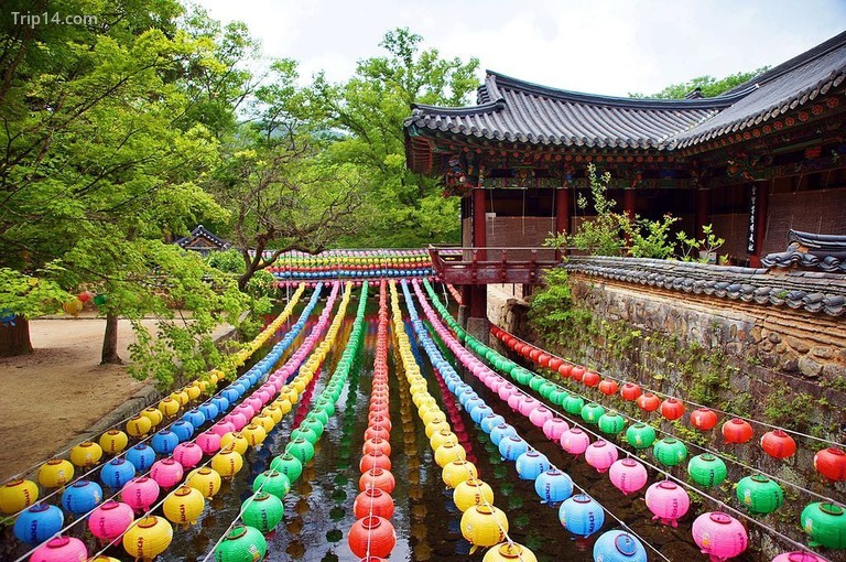 Những chiếc đèn lồng màu sắc tô điểm bên ngoài Songgwangsa © Minquddyd / Wikimedia Commons