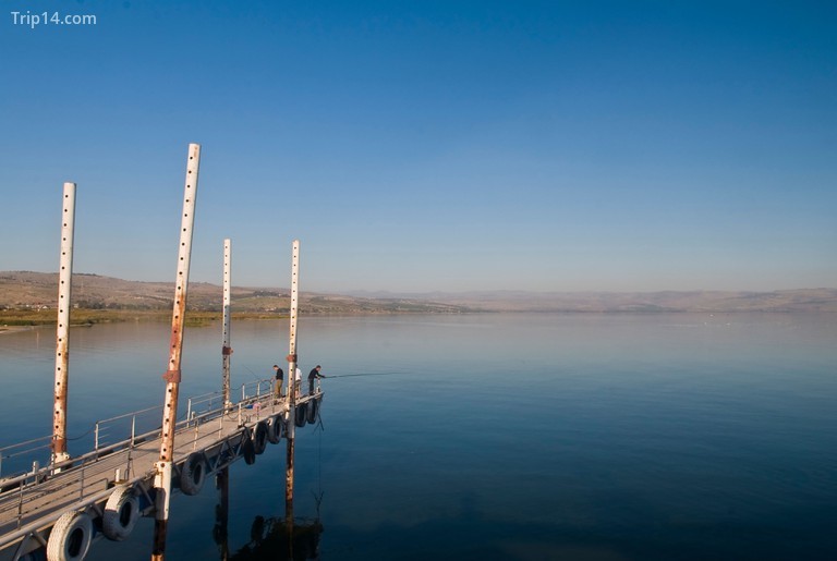 Ngư dân đánh bắt cá ở biển hồ Galilee© Yaacov Dagan / Alamy Kho ảnh - Trip14.com