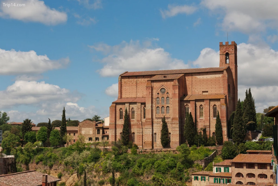 Những lý do hàng đầu mà bạn nên đến Siena, Ý - Ảnh 1