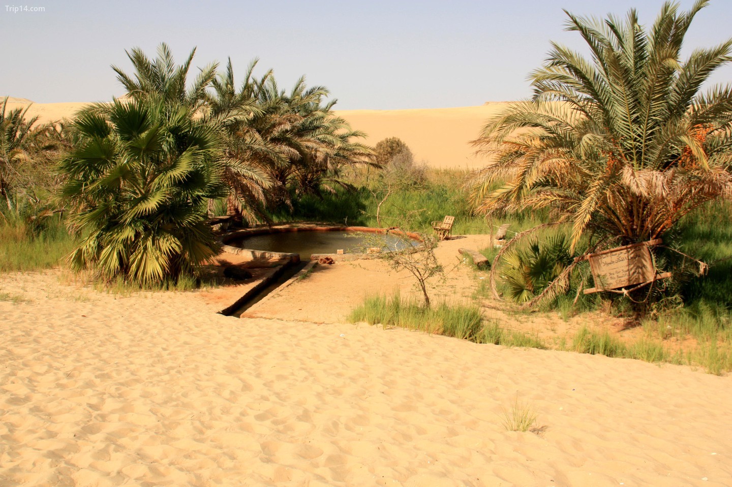 Nước và cát trị liệu của Ai Cập
