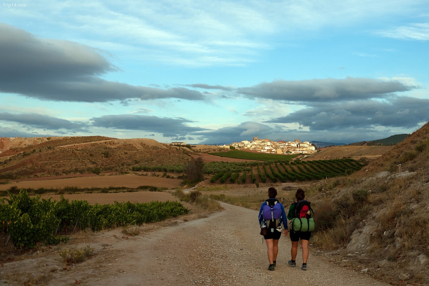 Đi bộ một đoạn của Camino de Santiago de Compostella