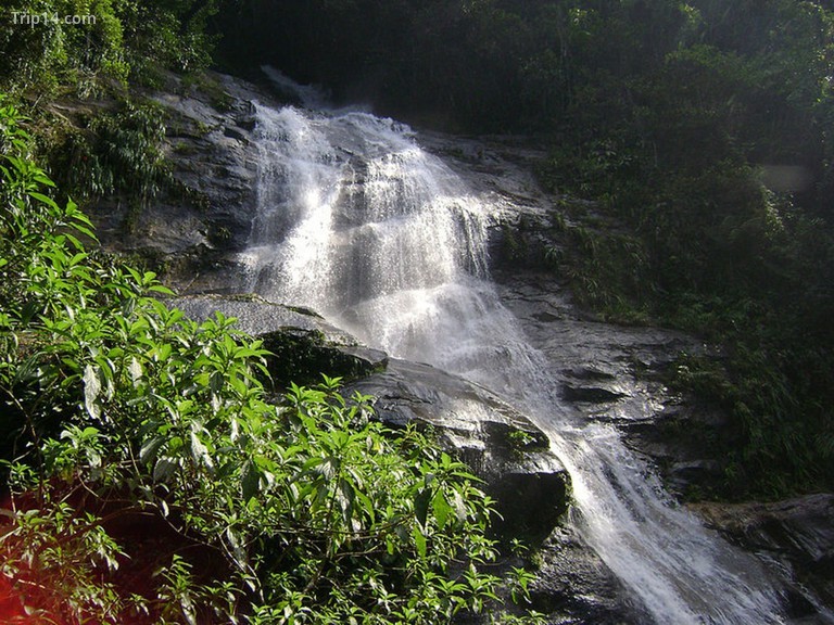 Thác nước trong rừng Tijuca | © Beth Castelo / WikiCommons - Trip14.com