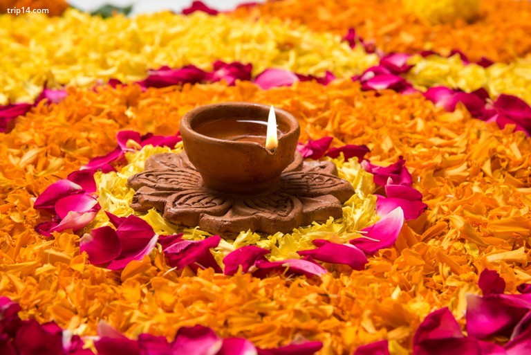 hoa rangoli cho Diwali hoặc pongal được làm bằng hoa cúc vạn thọ hoặc zendu và cánh hoa hồng đỏ trên nền trắng với diwali diya ở giữa, sel - Trip14.com