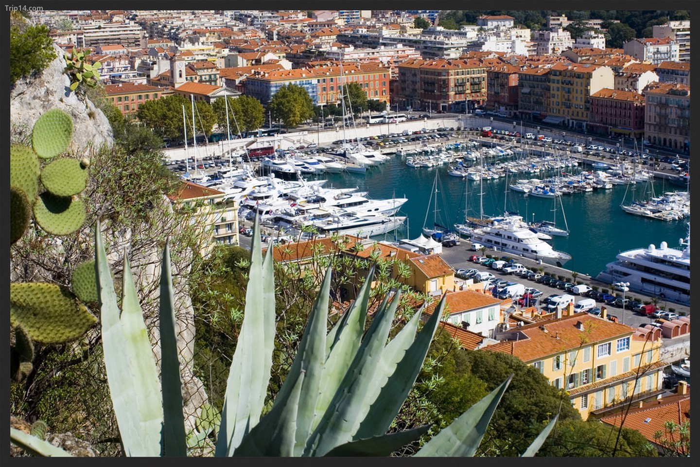 Old Port là một trong những hình ảnh mang tính biểu tượng nhất của Nice 