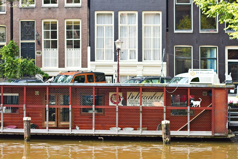 De Poezenboot, Amsterdam