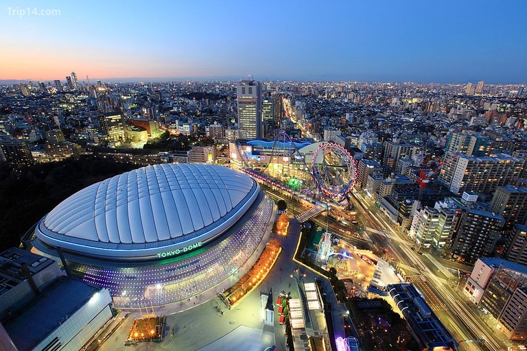Tokyo Dome Blue