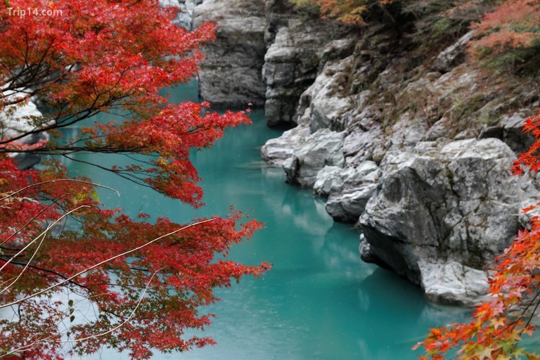 Thung lũng Iya, nằm ở trung tâm của Shikoku | © Kimon Berlin / Flickr - Trip14.com