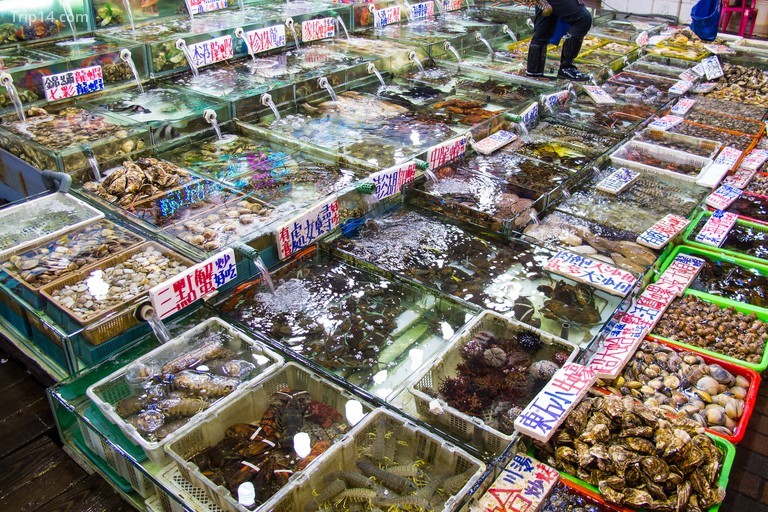 Mua hải sản tươi sống tại chợ cá Bisha - Trip14.com