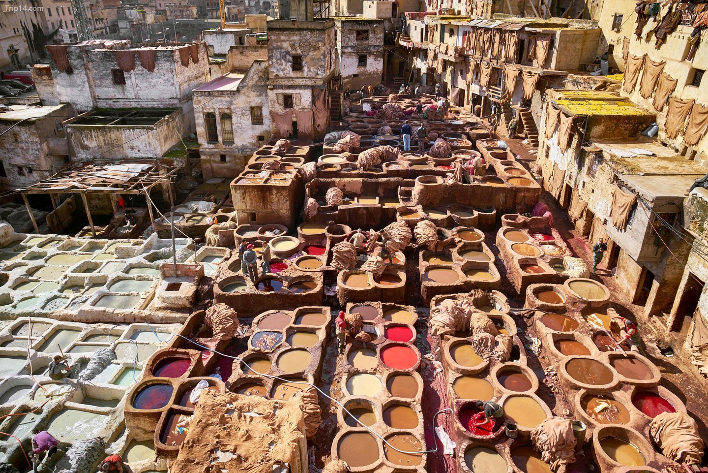 Xem các xưởng thuộc da Fez