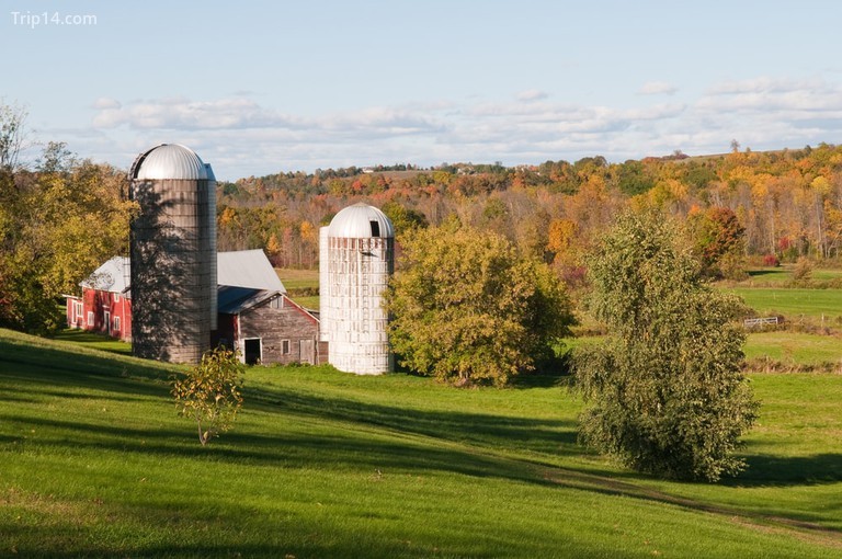 Màu sắc mùa thu của Shelburne, Vermont | © Hank Shiffman / Shutterstock - Trip14.com