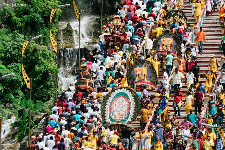 Lễ hội Thaipusam thu hút hàng triệu người mỗi năm Irene Navarro / © Trip14