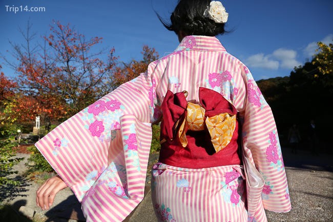 Một phụ nữ Nhật Bản với phụ nữ mặc kimono truyền thống đang đi dạo trong công viên Maruyama ở Kyoto - Trip14.com