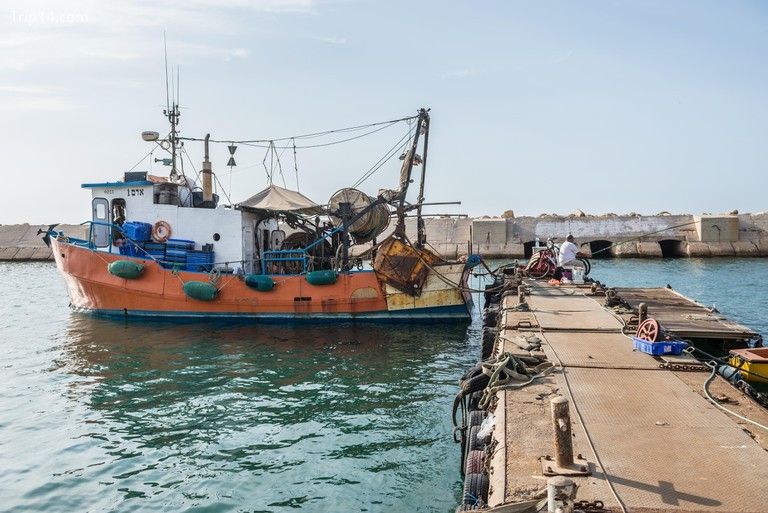 Thuyền đánh cá ở Jaffa, phần lâu đời nhất của thành phố Tel Aviv, Israel. - Trip14.com