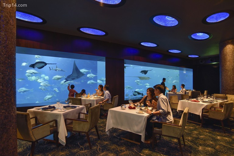 Nhà hàng Ocean Restaurant by Cat Cora, Singapore