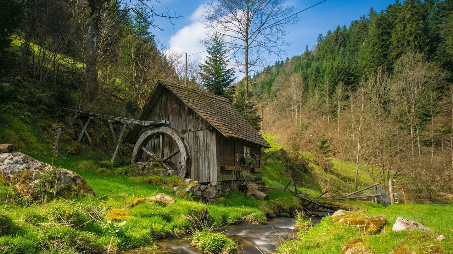 Những điều thú vị để làm quanh rừng Đen, nước Đức