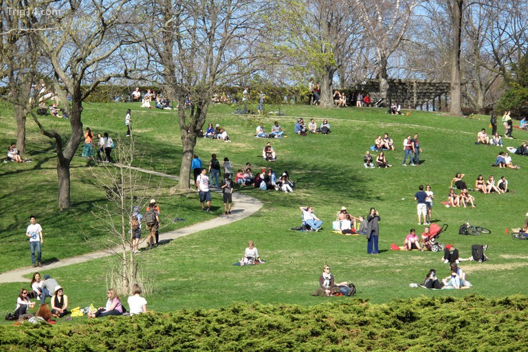 Spring in High Park, Toronto.