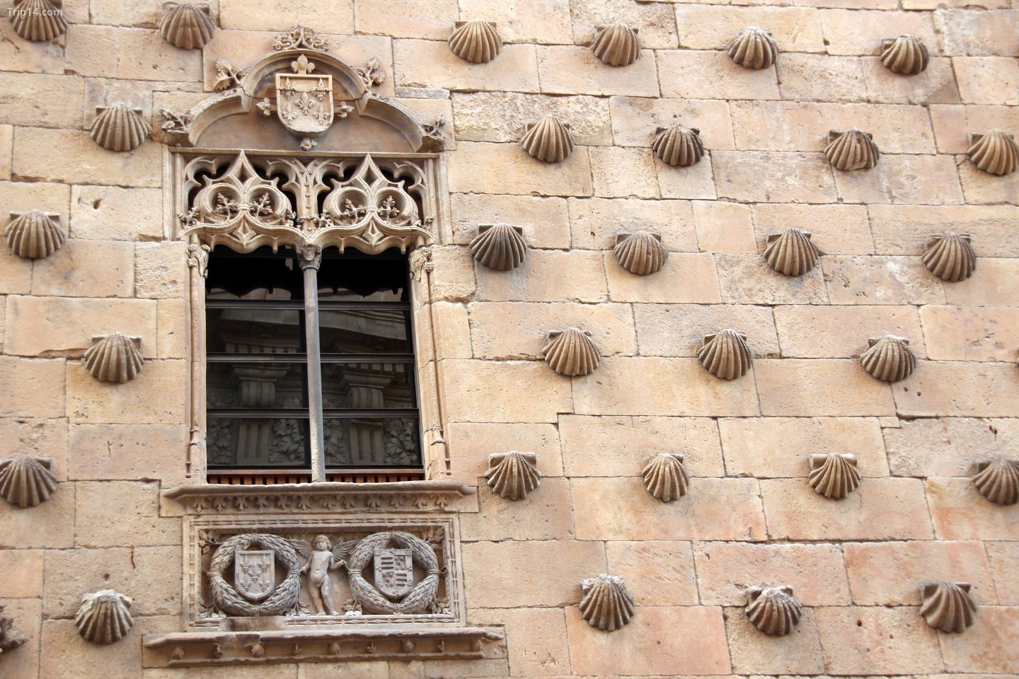  Mặt tiền của Casa de las Conchas, Salamanca, Tây Ban Nha. Ảnh: Flickr 
