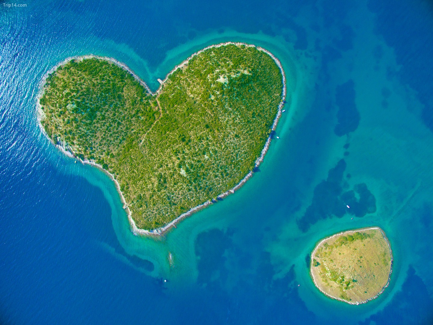Trái tim khổng lồ của Đảo Galesnjak, Croatia…