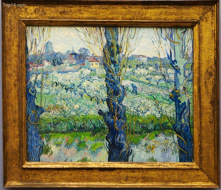 Quang cảnh Arles, Vườn cây có hoa của Vincent Van Gogh |  Pierre André / Wikimedia Commons