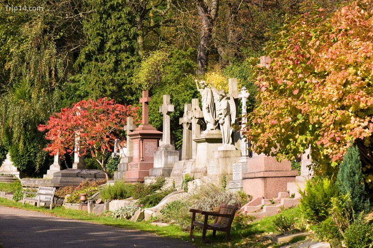 Nghĩa trang Highgate đẹp và lãng mạn đến bất ngờ © Gregory Wrona / Alamy Kho ảnh