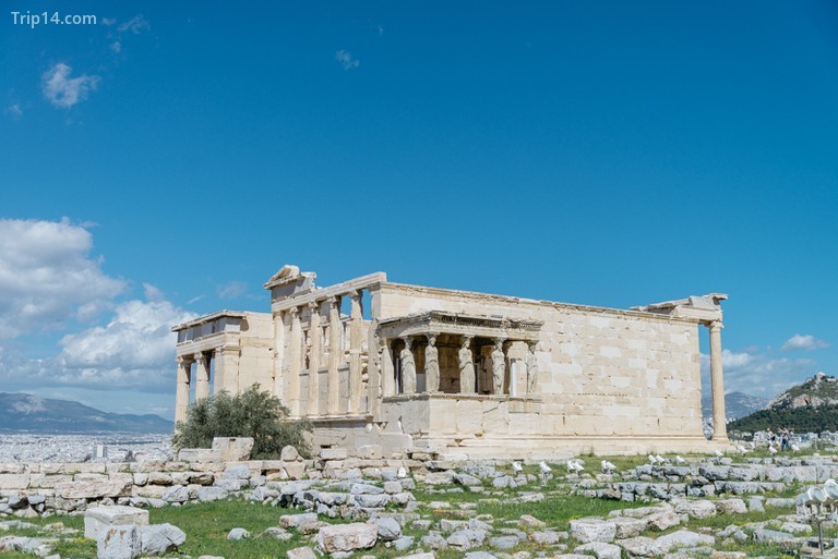 LECTI-ATHENS-GREECE - Trip14.com